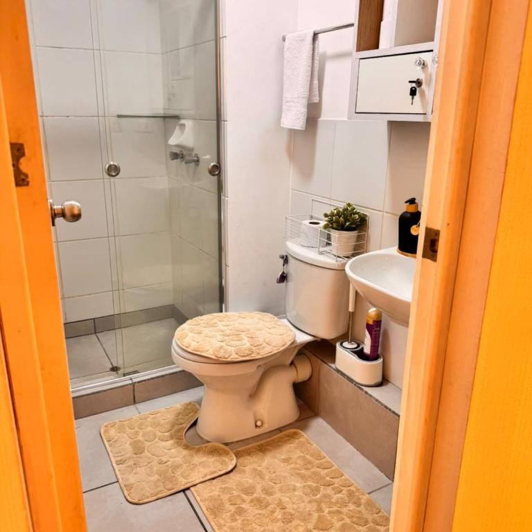 Cozy apartment close to Mall Plaza and the metro - Apartamento de 3 dormitorios - 17