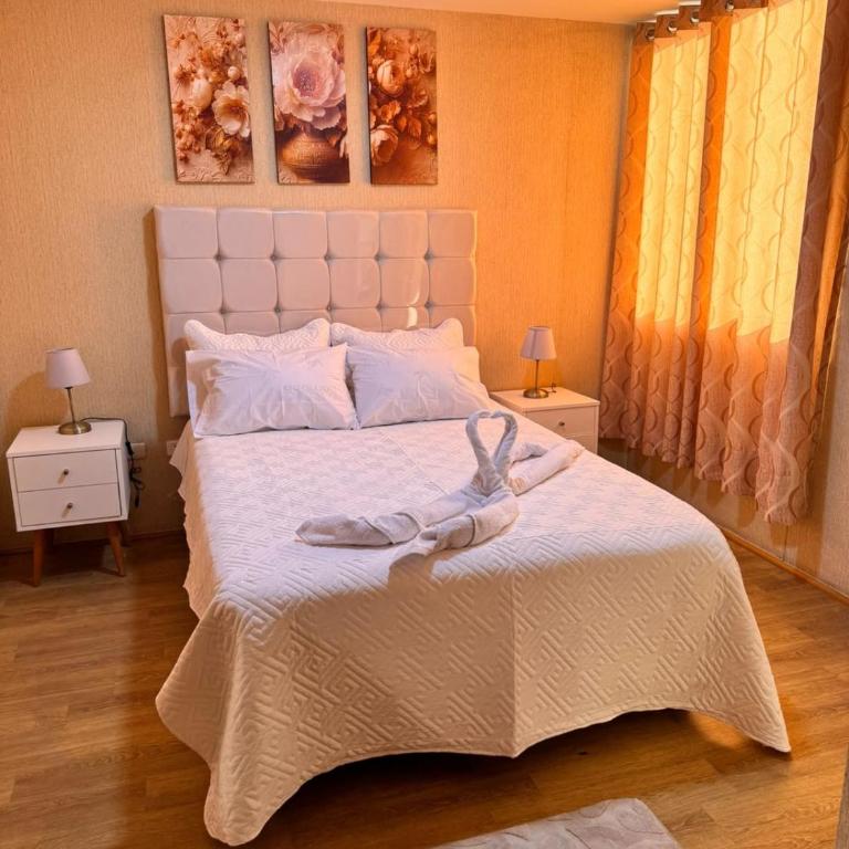 Cozy apartment close to Mall Plaza and the metro - Apartamento de 3 dormitorios - 29
