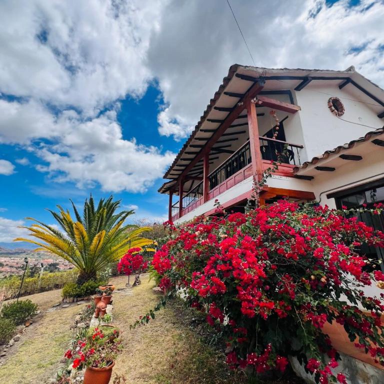Villa con increíble vista con parking pet-friendly BBQ y Wi-Fi - Villa de 3 dormitorios - 23