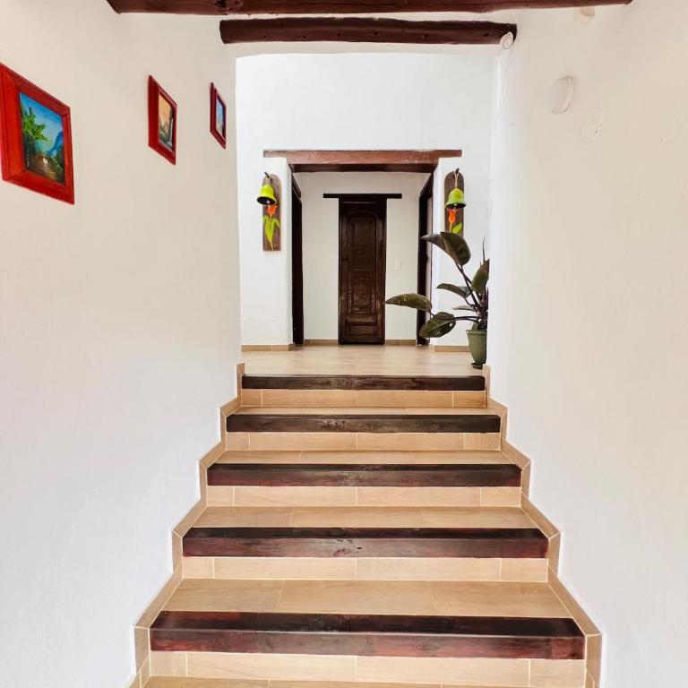 Villa con increíble vista con parking pet-friendly BBQ y Wi-Fi - Villa de 3 dormitorios - 37