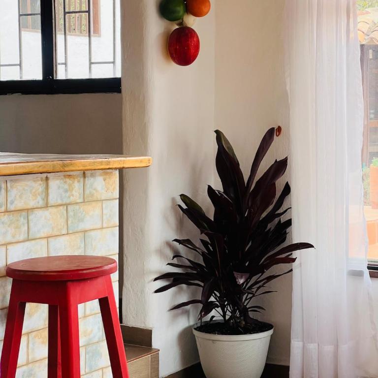 Villa con increíble vista con parking pet-friendly BBQ y Wi-Fi - Villa de 3 dormitorios - 43