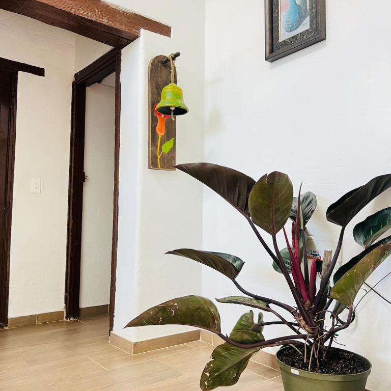 Villa con increíble vista con parking pet-friendly BBQ y Wi-Fi - Villa de 3 dormitorios - 62