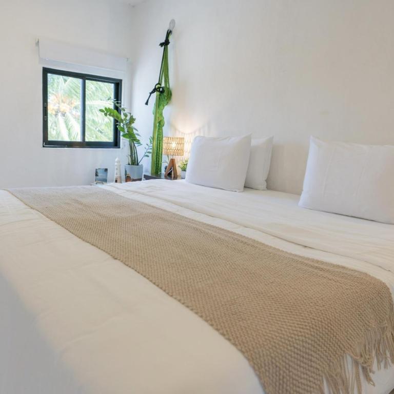 La Perle Noire - Dive Hotel Cozumel - Habitación con cama extragrande. - 19