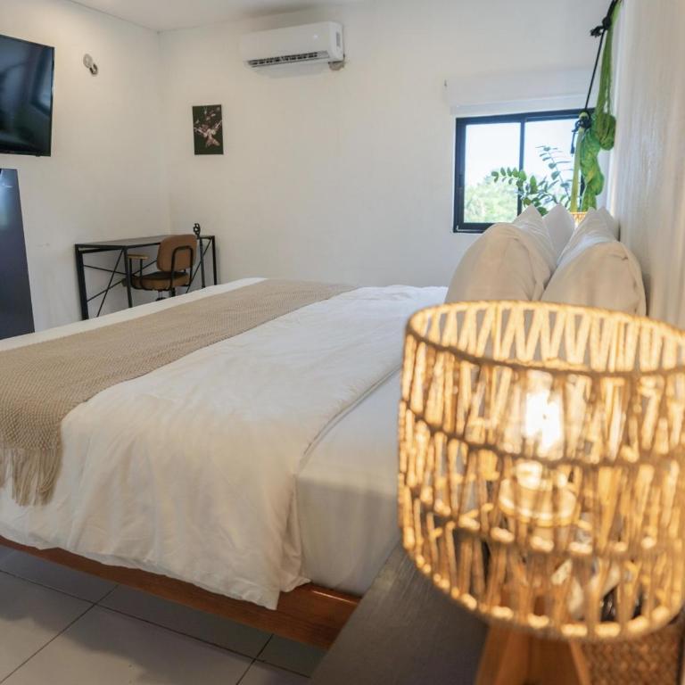 La Perle Noire - Dive Hotel Cozumel - Habitación con cama extragrande. - 22