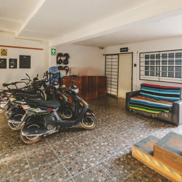 La Perle Noire - Dive Hotel Cozumel - Habitación con cama extragrande. - 11