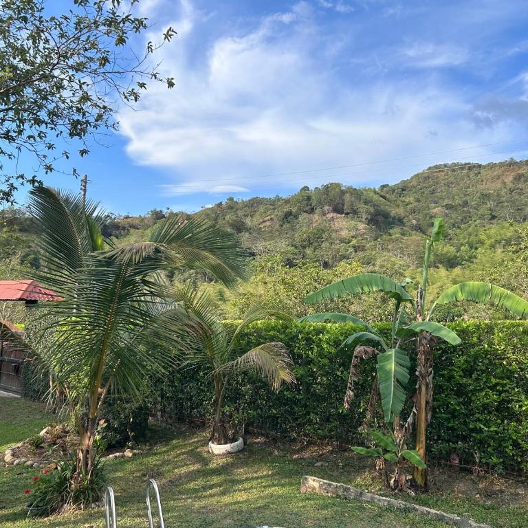 Finca Leito - Casa de 4 dormitorios - 79