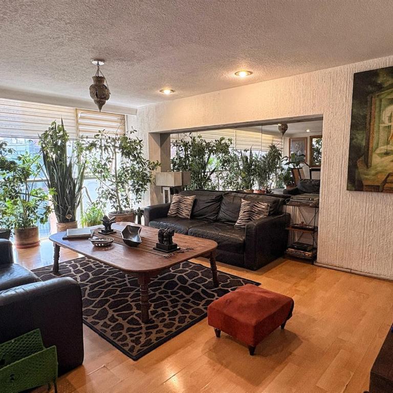 Polanco Connected, South, North and Mexico City - Apartment - 25