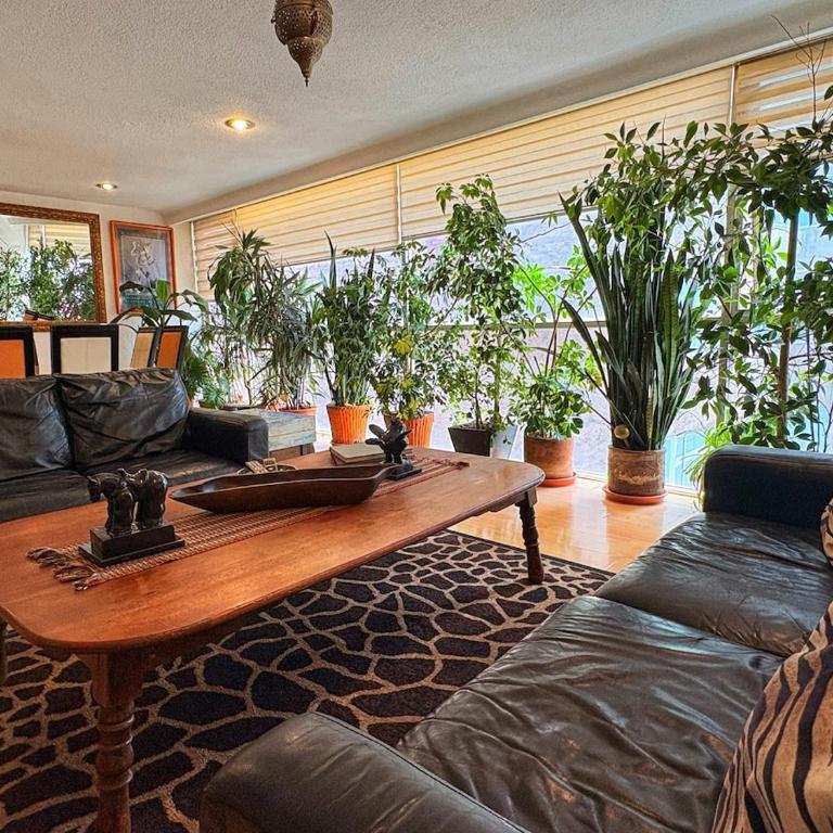 Polanco Connected, South, North and Mexico City - Apartment - 36