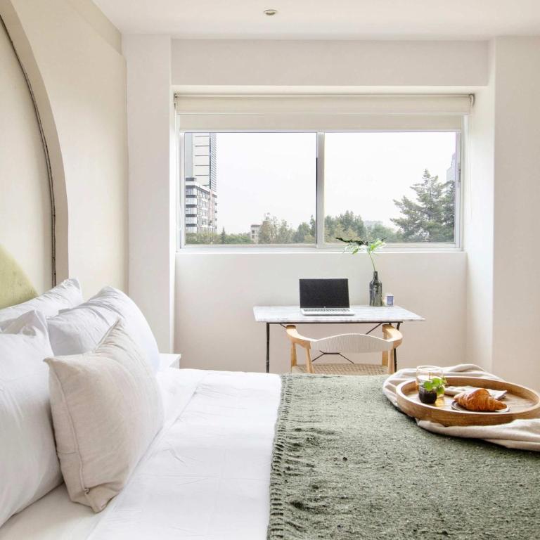 Beautiful apartment in the heart of Polanco - Apartment - 51
