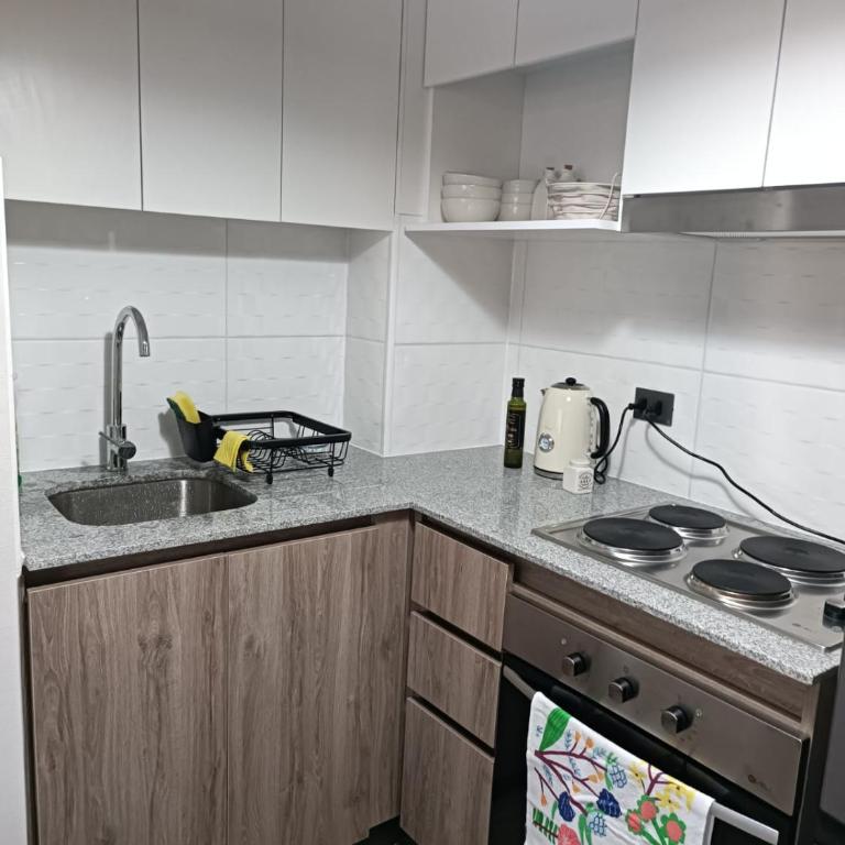 Departamento nuevo a pasos del centro de Concepción - Apartamento de 1 dormitorio - 4