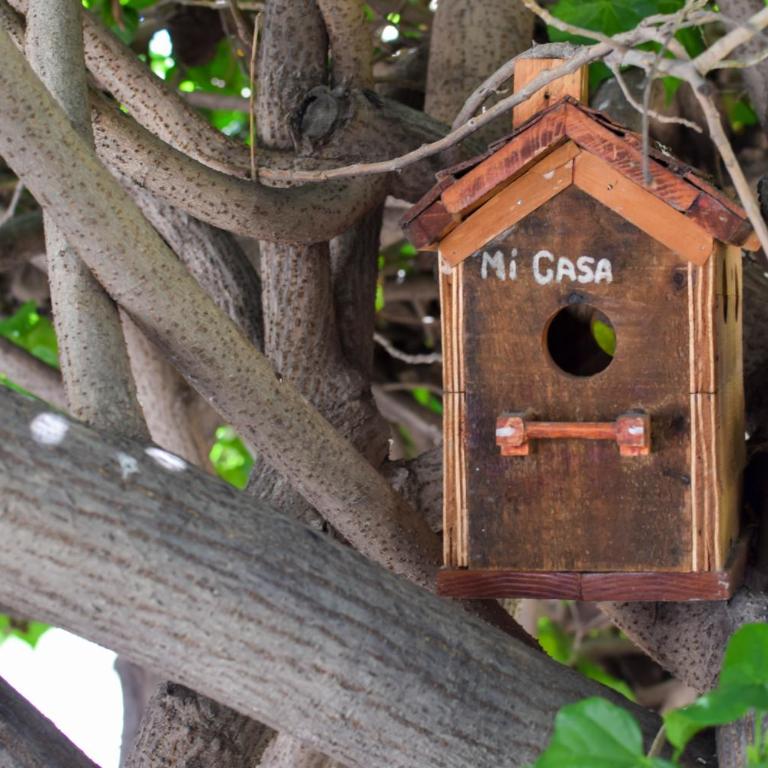 Casita Océano - Casa - 31