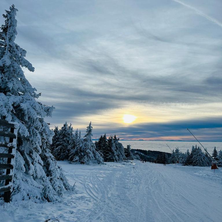Velvet Kopaonik - One-Bedroom Apartment - 21