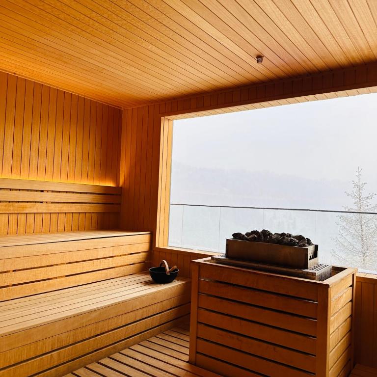 Velvet Kopaonik - One-Bedroom Apartment - 34
