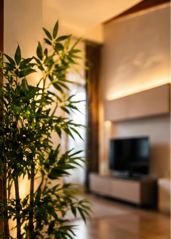 Flo's Chathedral Home - Appartamento - 4