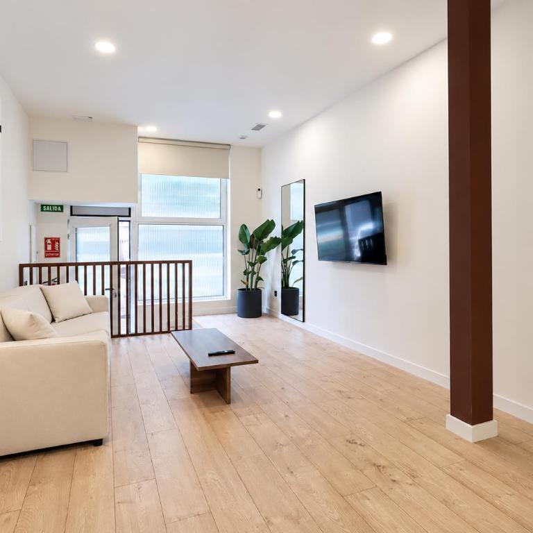 Madrid Urban Loft - Appartamento Classic - 13