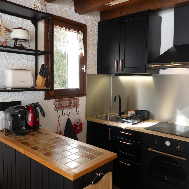Duplex proche domaine nordique - 6 pers. - FR-1-906-25 - Apartment - 2