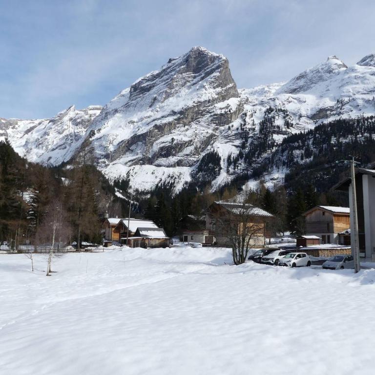 Duplex proche domaine nordique - 6 pers. - FR-1-906-25 - Apartment - 10