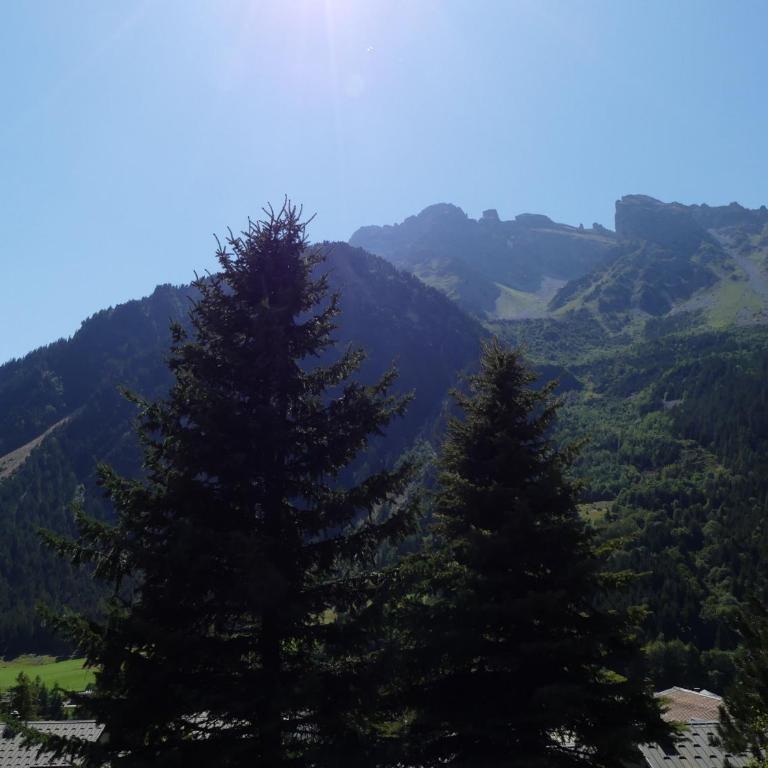 Appartement pratique proche des pistes - 6/8 pers. - FR-1-906-97 - Apartment - 14