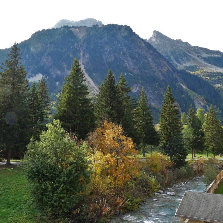 Studio rénové, vue montagne - 4 pers. - FR-1-906-92 - Monolocale - 11