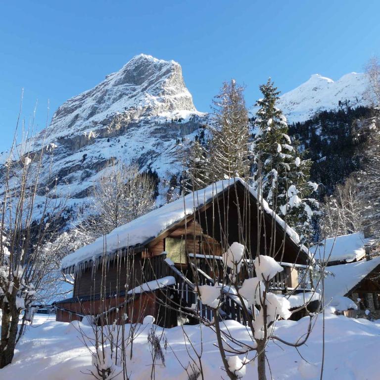 Chalet avec jardin - 6 pers. (calme) (50 unités) - FR-1-906-84 - Apartamento - 13