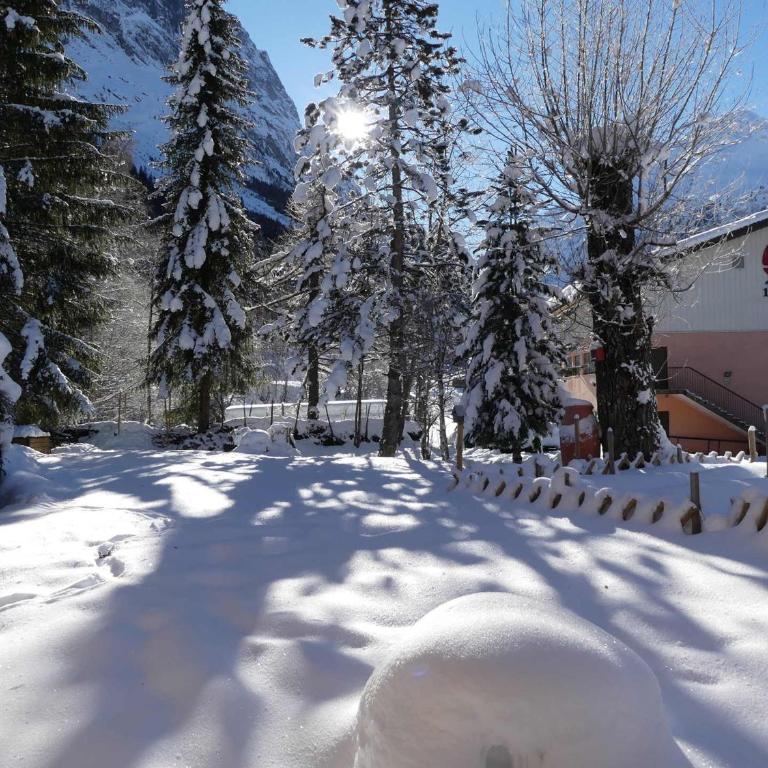 Chalet avec jardin - 6 pers. (calme) (50 unités) - FR-1-906-84 - Apartamento - 17
