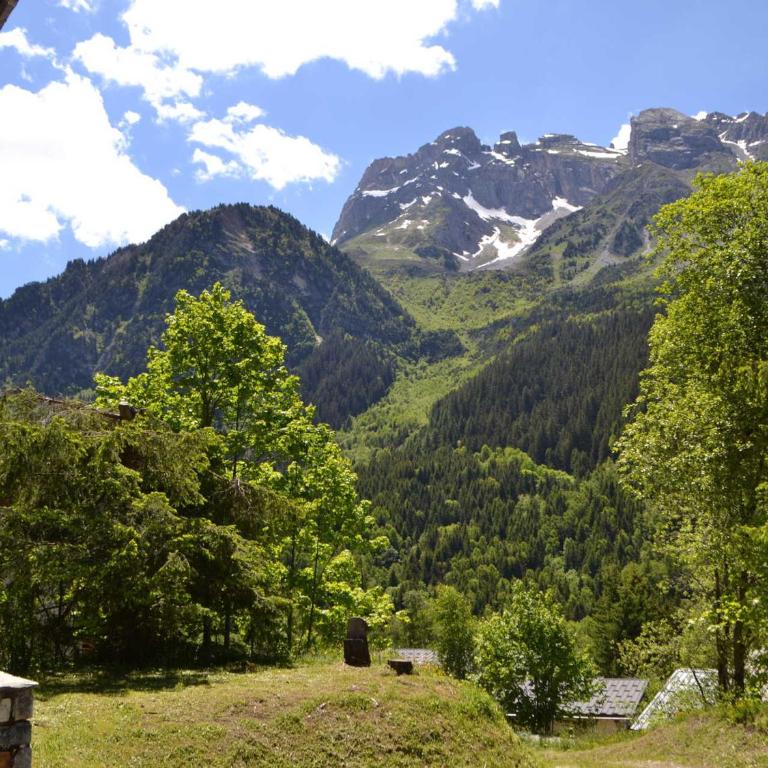 Chalet familial avec parking - 14 pers. - FR-1-906-7 - Chalet - 17