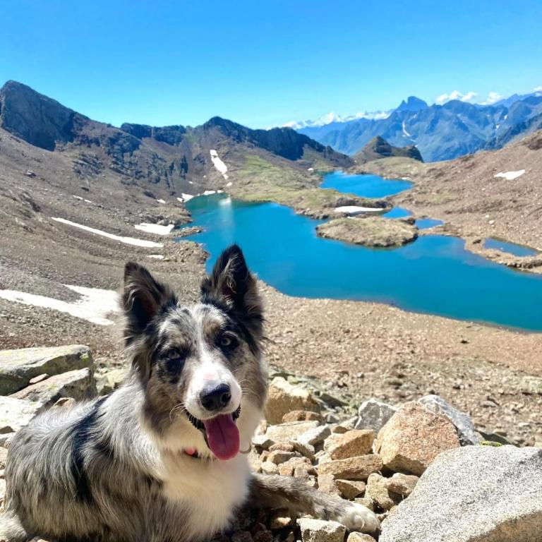 El Apartamento del Pirineo - Apartment mit 1 Schlafzimmer - 23