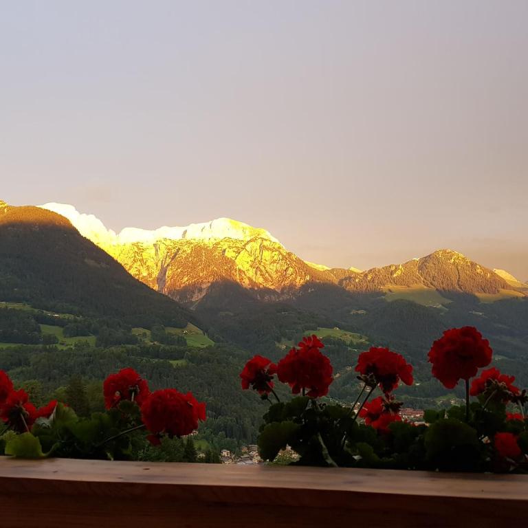Ferienwohnung Kälberstein Stüberl - Appartement 1 Chambre - 16