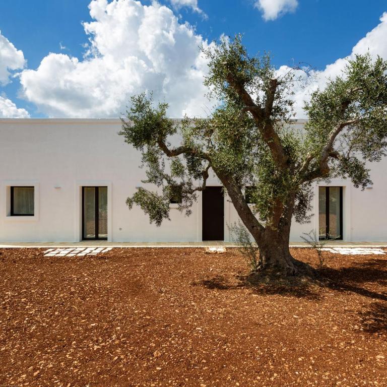 Casa tra gli Ulivi by Perle di Puglia - Villa - 19