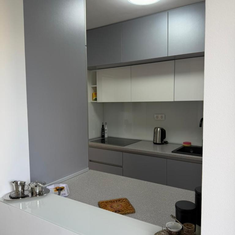 Alipašino Comfort Apartment - Apartment mit 1 Schlafzimmer - 8