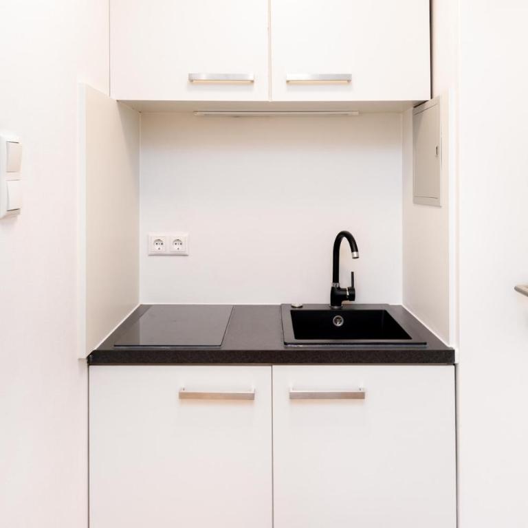 Cozy Luxury Apartment Graz 3 - Apartment mit 1 Schlafzimmer - 12