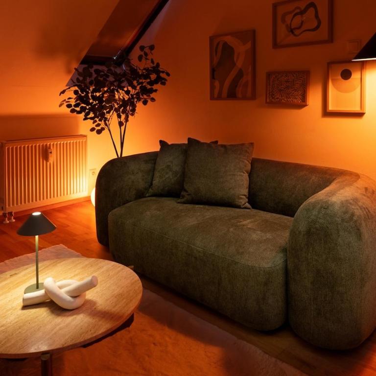 Cozy Luxury Apartment Graz 3 - Apartment mit 1 Schlafzimmer - 14
