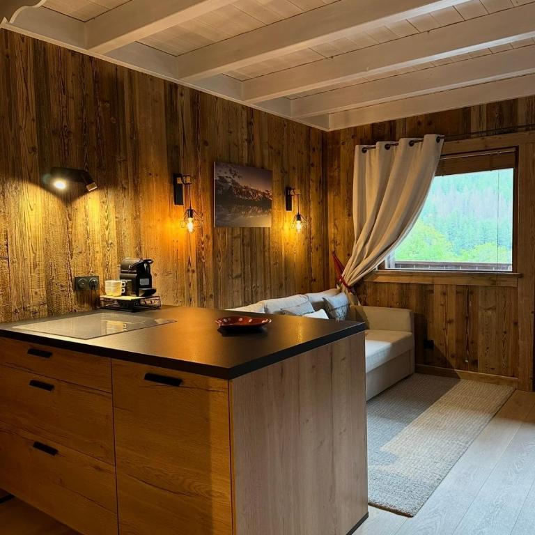 Le Dome du gouter - Apartamento de 1 dormitorio - 4