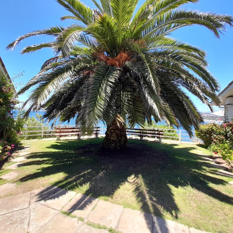 Cabaña con vista privilegiada al mar - Casa de 3 dormitorios - 21