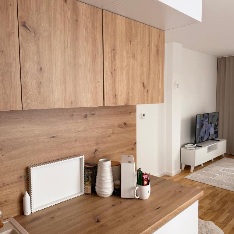 Cozy Apartment near Sarajevo Airport - Apartman sa 1 Spavaćom Sobom - 14