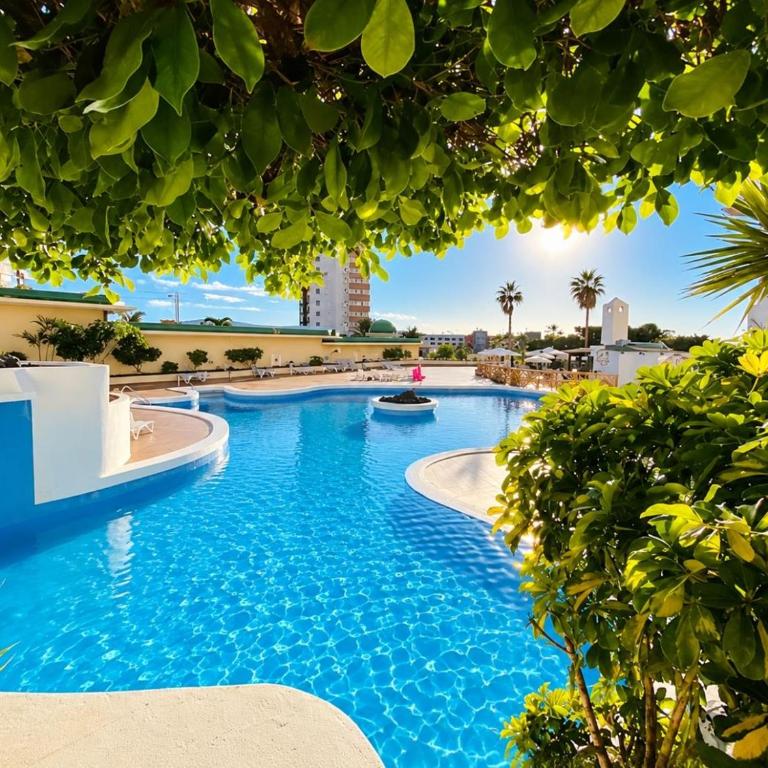 Paraiso Tropical - Apartamento - 21