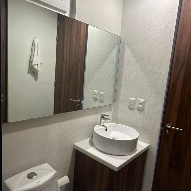 Mangle 19 - Appartement 1 Chambre de Luxe - Vue sur Jardin - 22
