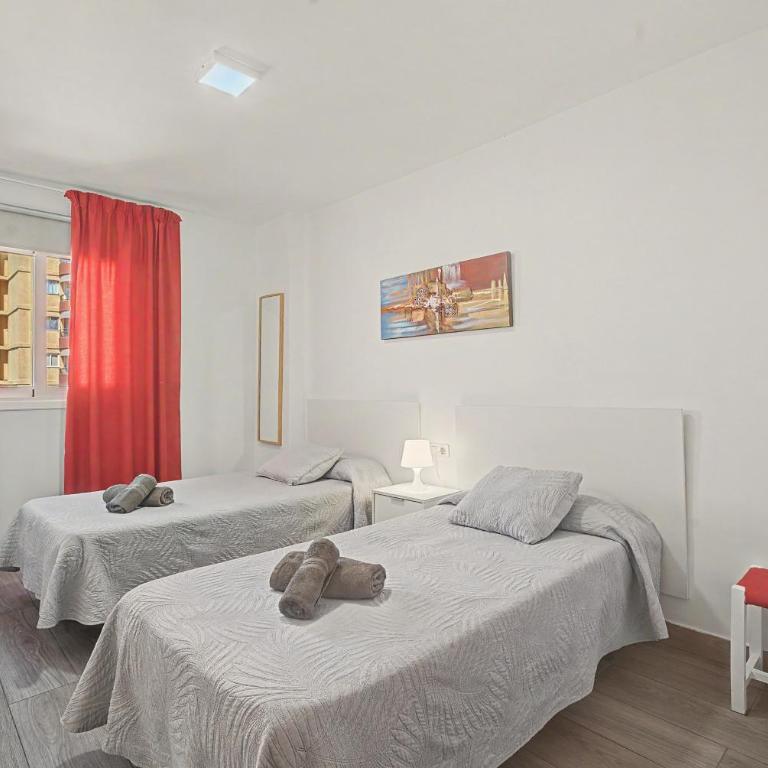 Las Vistas Beachfront - Apartamento Superior de 1 dormitorio con balcón - 8