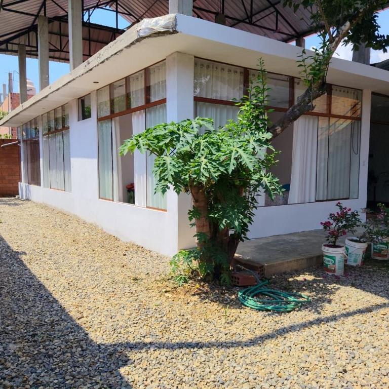 Emilu House - Vacation Home - 3