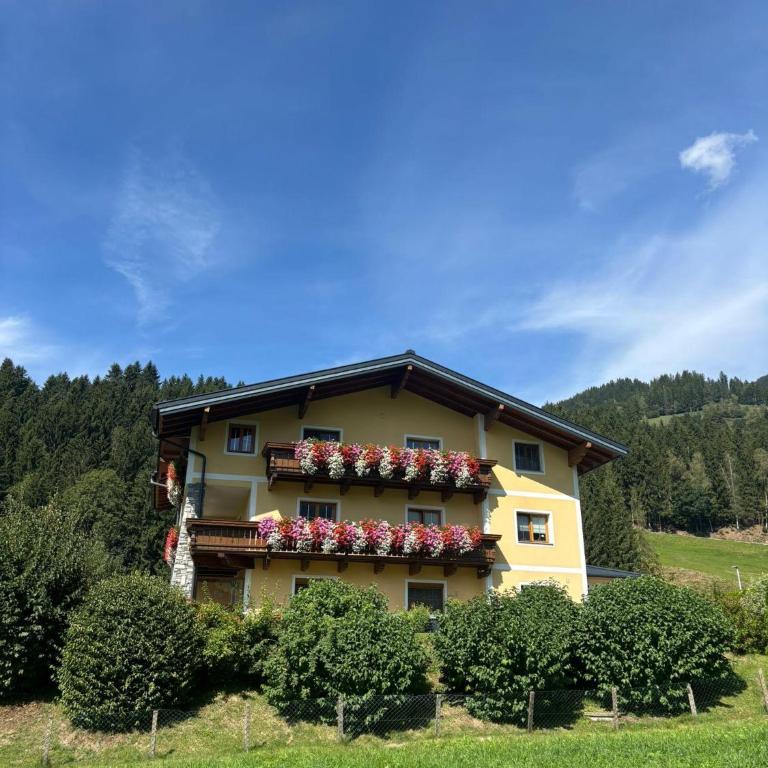 Ebster, Ferienwohnung - Appartamento con 2 Camere da Letto - 1