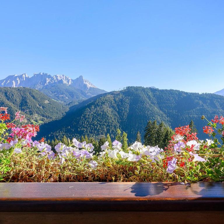Innerfohrer Hof - Appartamento Superior con 1 Camera da Letto e Balcone - 4