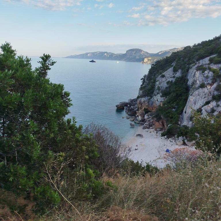 Casa Orchidea, an oasis of relaxation in a dreamy sea - Appartamento con 1 Camera da Letto - 9