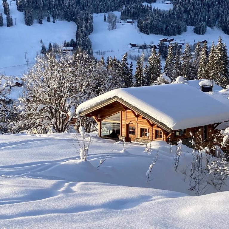 Chalet Alpavi - Les Gets - ski in out - Chalet - 1