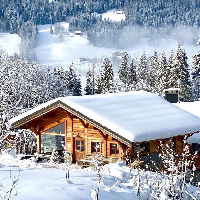 Chalet Alpavi - Les Gets - ski in out - Chalet - 18