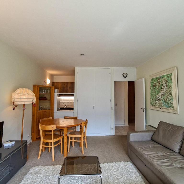 Appartement lumineux au pied des pistes avec WIFI gratuit - Appartement 1 Chambre - 12