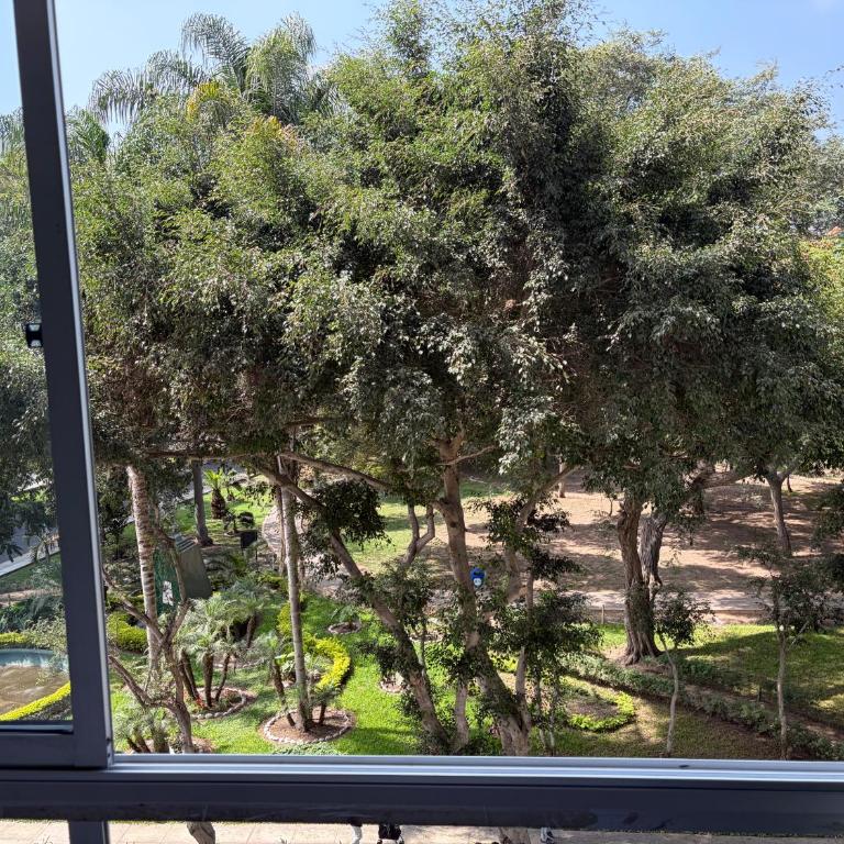 Amplio departamento con vista al parque San Isidro Lince - Apartamento de 3 dormitorios - 28