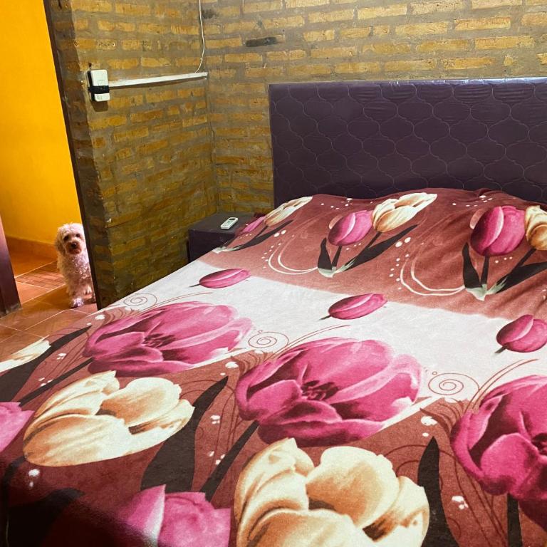 Lambare Home - Classic One-Bedroom Apartment with King Bed - 8