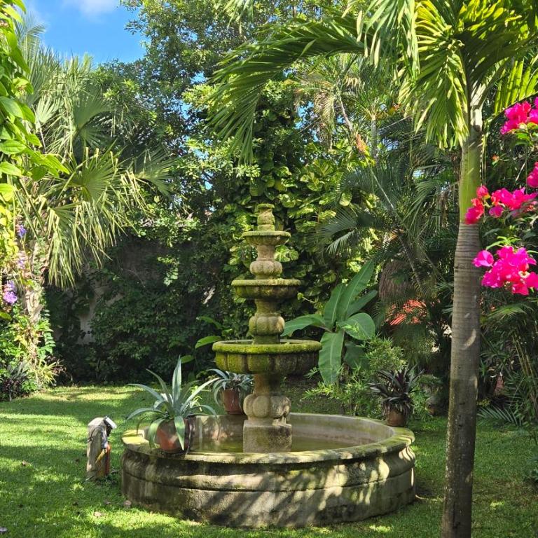 Casa Colonial Estate, Cozumel - Villa con piscina privada - 48