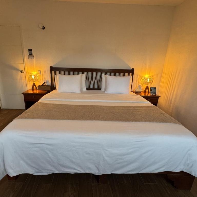La Perle Noire - Dive Hotel Cozumel - Habitación con cama extragrande. - 7