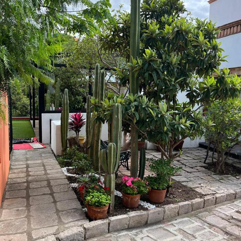 LAS ALAMEDAS Departamentos céntricos con estacionamiento privado - Deluxe Studio mit Kingsize-Bett - 6